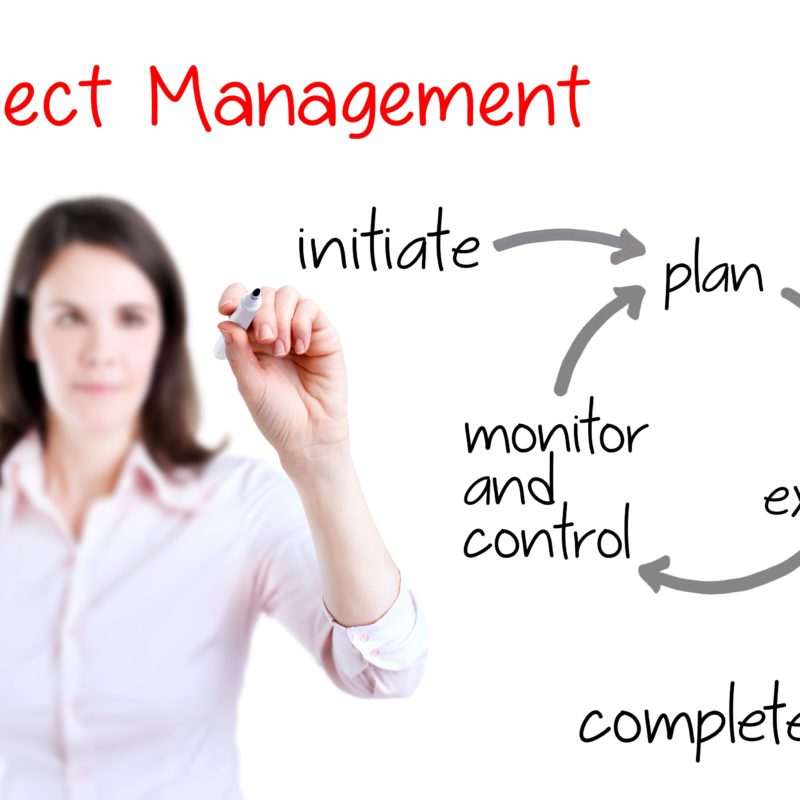 project manager requirements